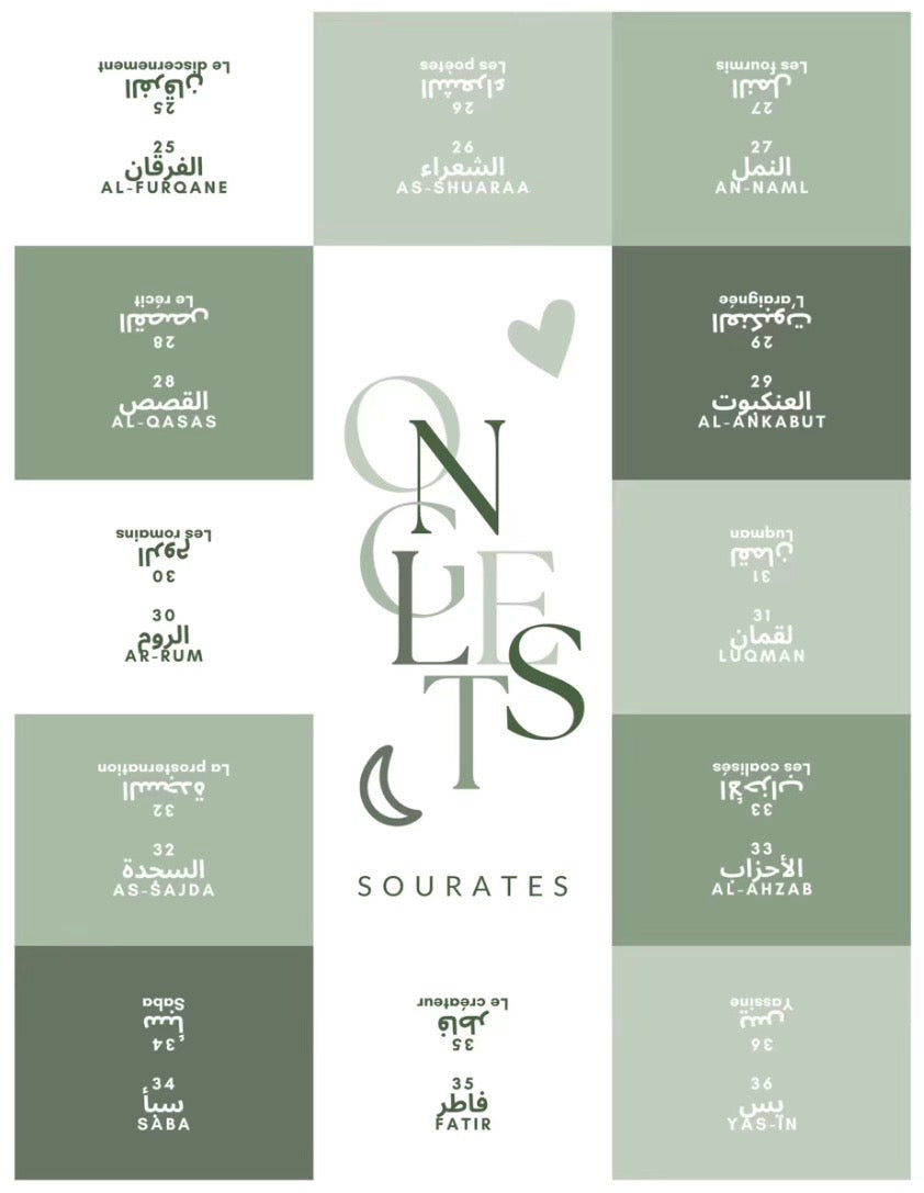 Onglets sourates plastifiés • Vert