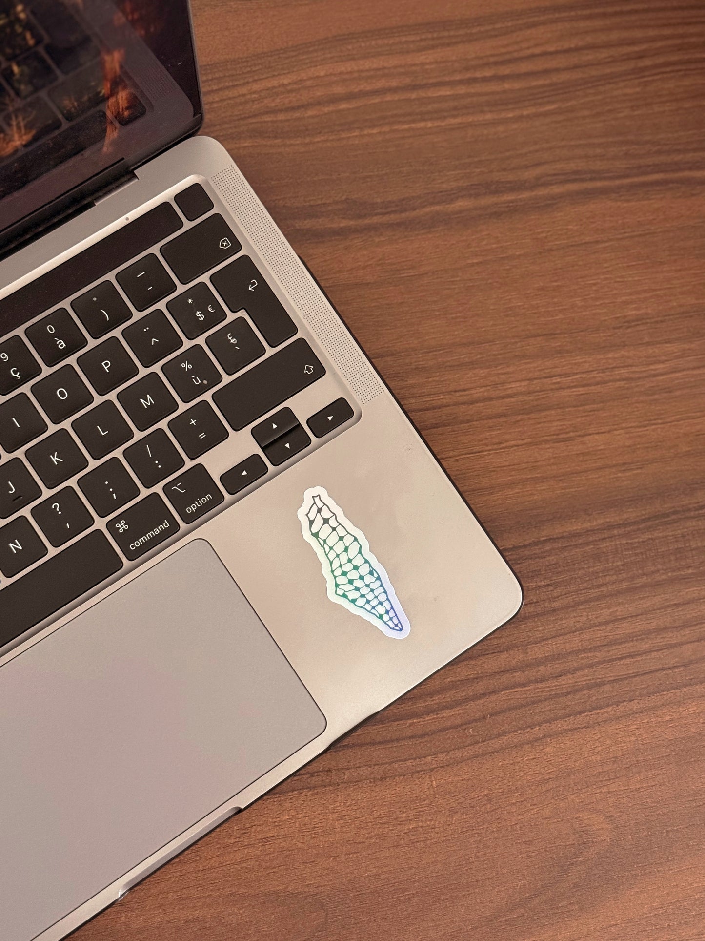 Lot de 5 maxi stickers