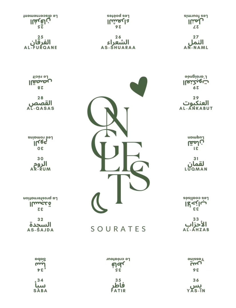Onglets sourates plastifiés • Blanc/Vert