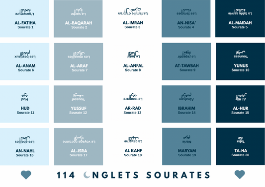 Onglets rigides plastifiés holographiques • nuances de bleus