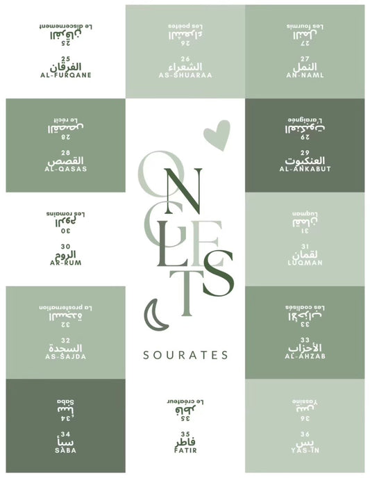 Onglets sourates plastifiés • Vert
