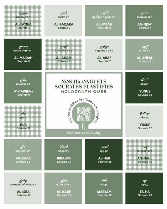 Onglets sourates plastifiés holographiques • Kaki vichy