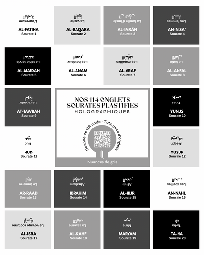 Onglets sourates plastifiés holographiques • Nuances de gris