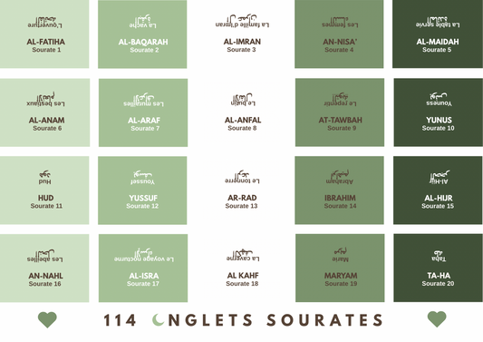 Onglets rigides plastifiés holographiques • nuances de verts