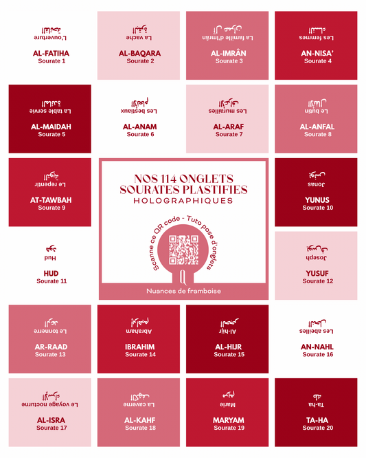 Onglets sourates plastifiés holographiques • Nuances de framboise