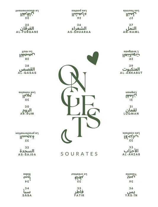 Onglets sourates plastifiés • Blanc/Vert