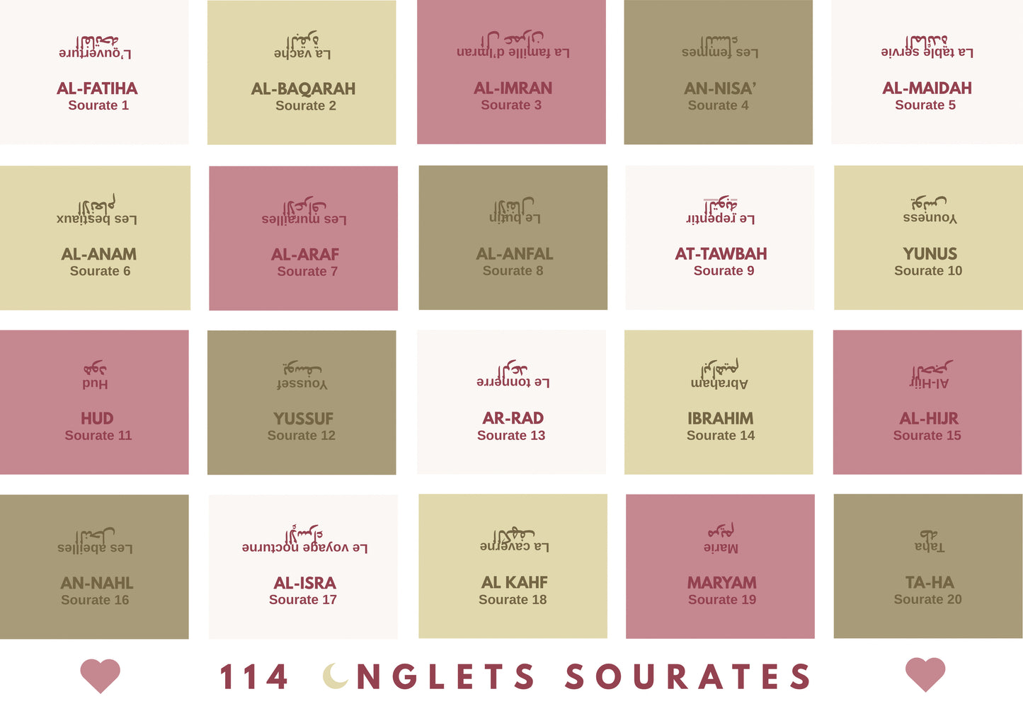 Onglets rigides plastifiés holographiques • Vert & rose