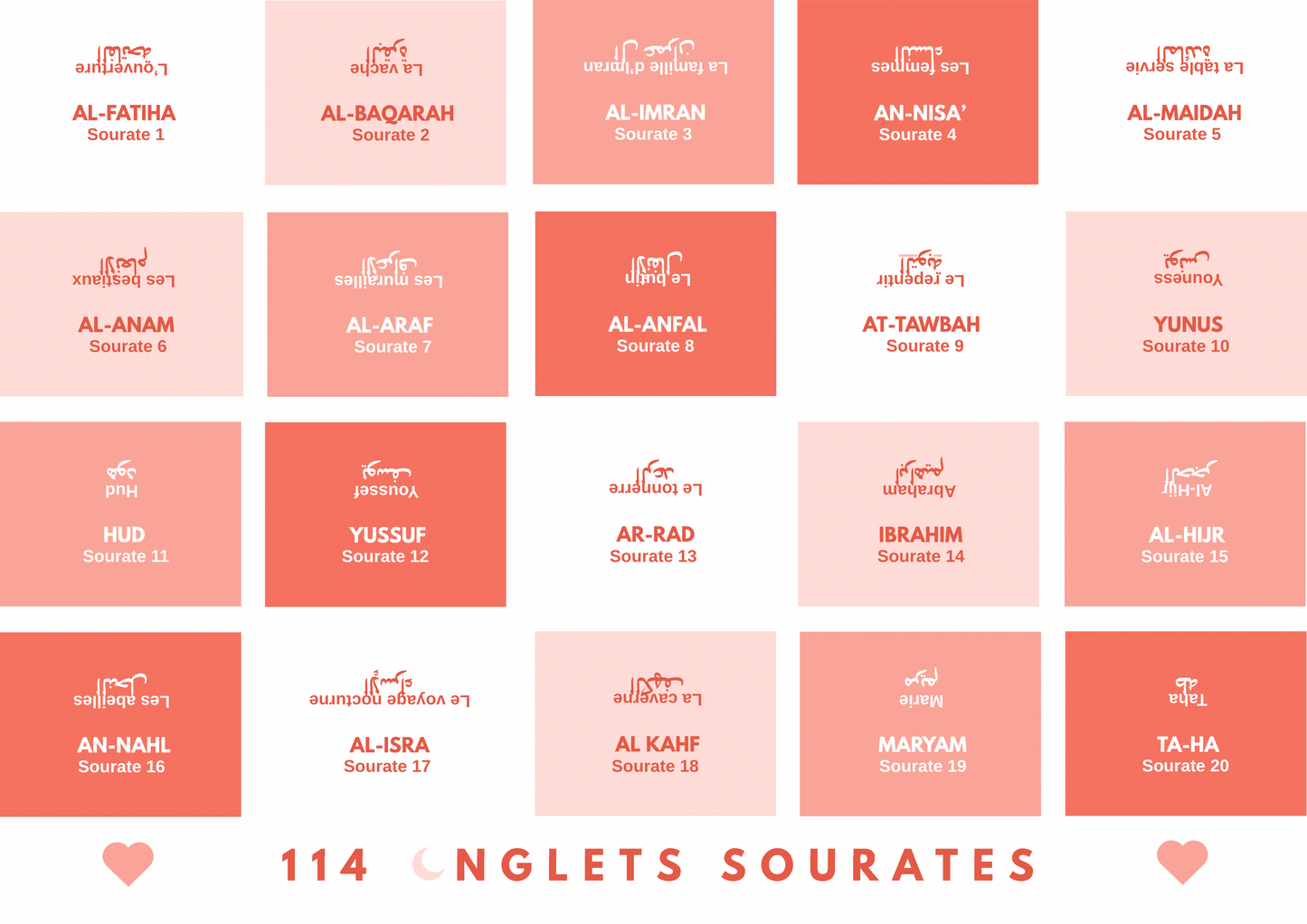 Onglets rigides plastifiés holographiques • Corail