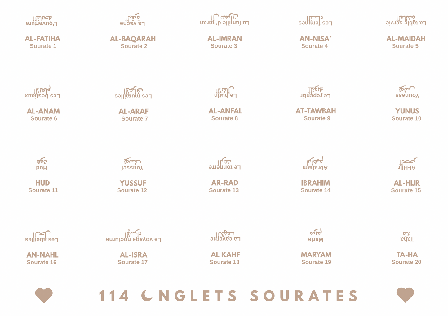 Onglets rigides plastifiés holographiques • Blanc/Coffee