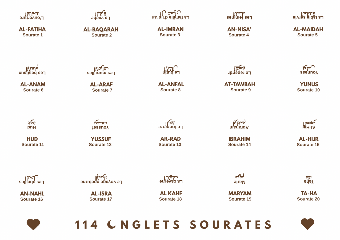 Onglets rigides plastifiés holographiques • Blanc/marron